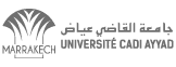 Partner logo 2